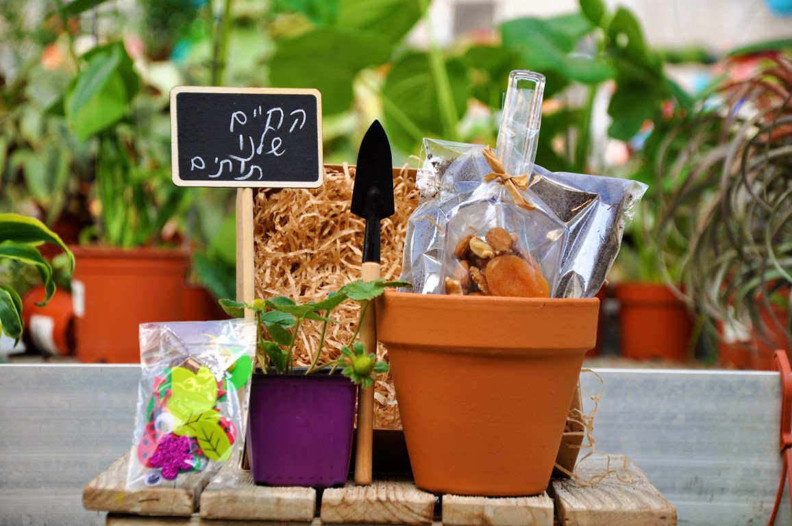 מארזים לטו בשבט