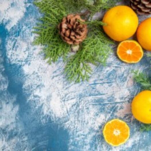 גינון חורף – הכנה ושמירה על הגינה בחורף