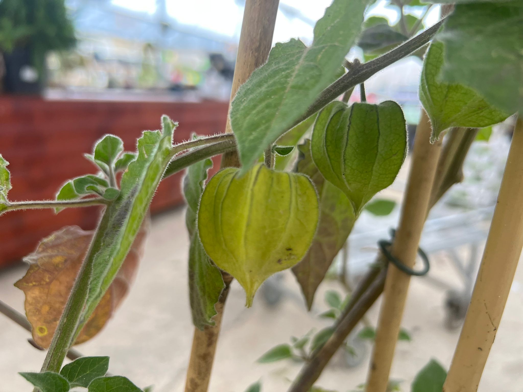 WhatsApp Image 2023-02-21 at 13.39.06