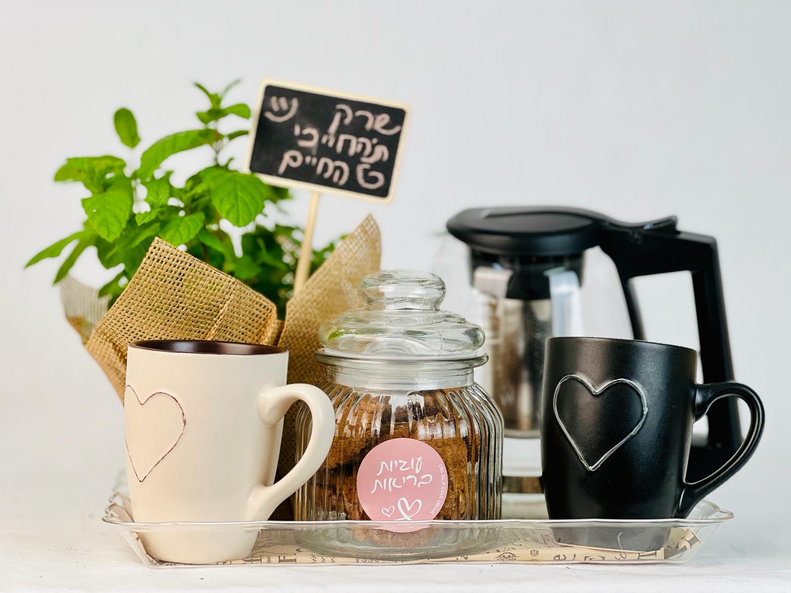 WhatsApp Image 2024-03-17 at 10.08.16