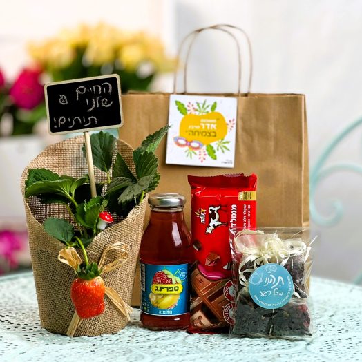 שוקולדים, דבר מתיקה מושלם שמשתלב בכל מתנה