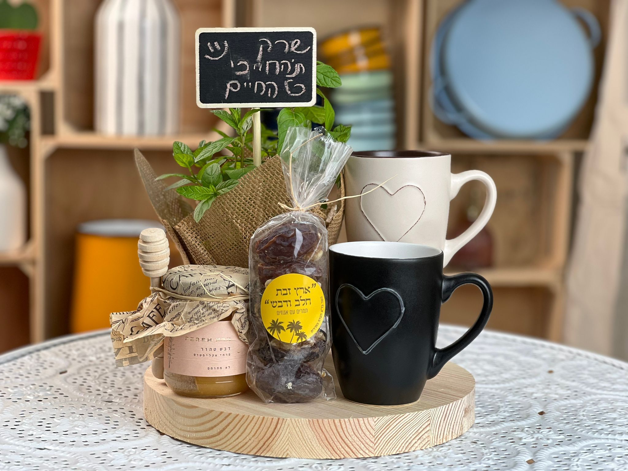 WhatsApp Image 2024-02-11 at 14.27.05