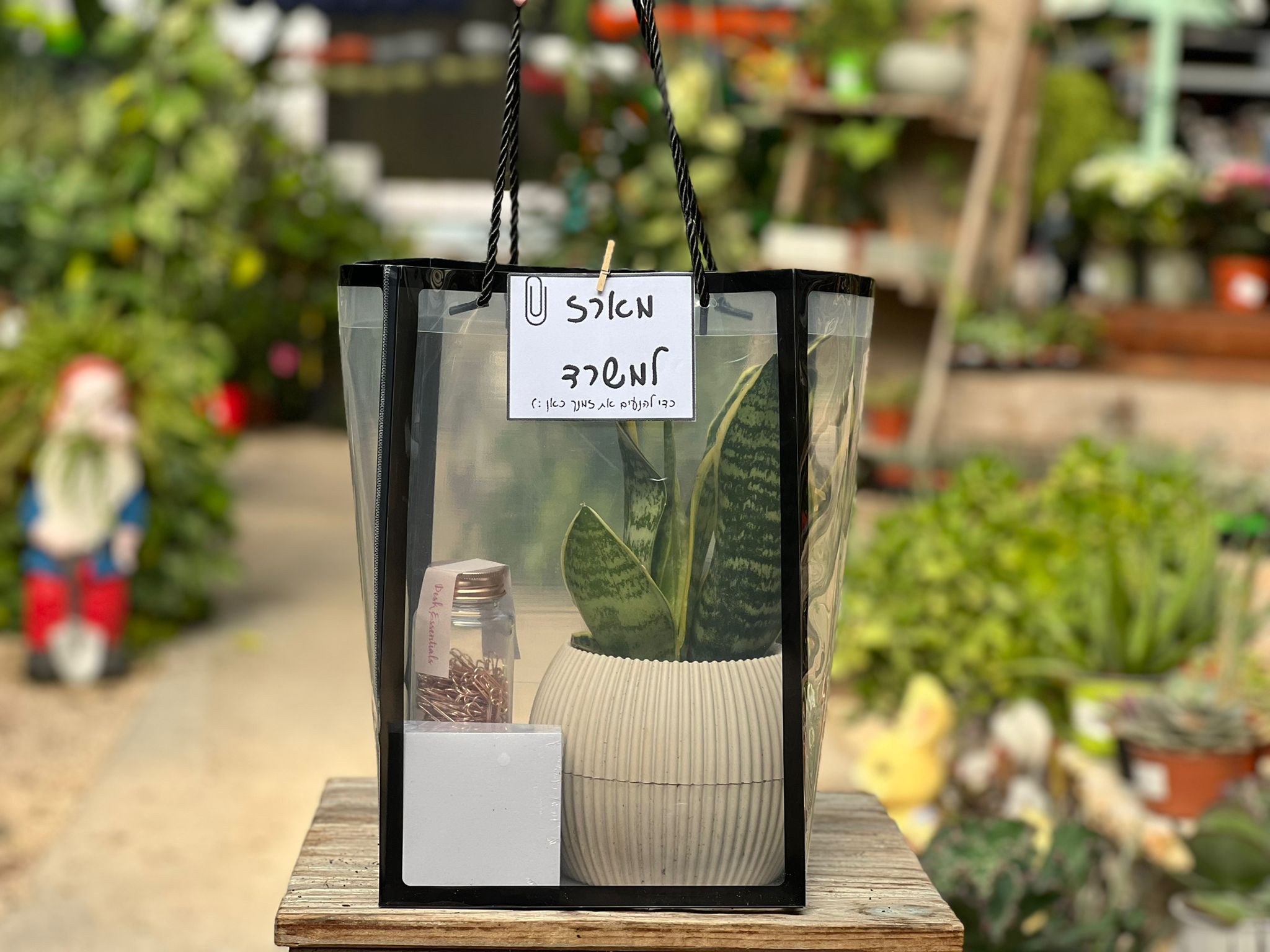 WhatsApp Image 2024-01-03 at 12.55.06