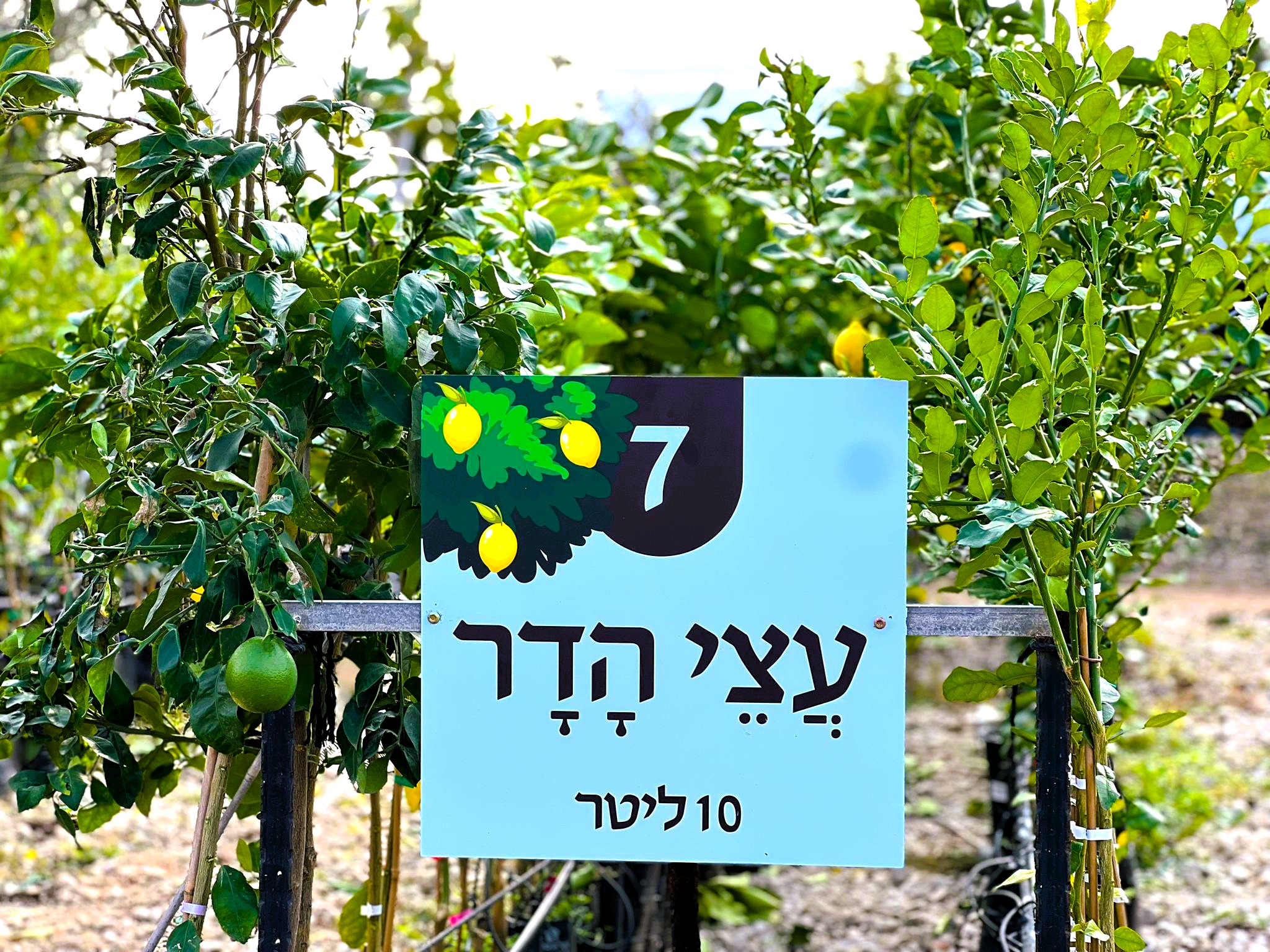 WhatsApp Image 2024-01-09 at 12.20.13