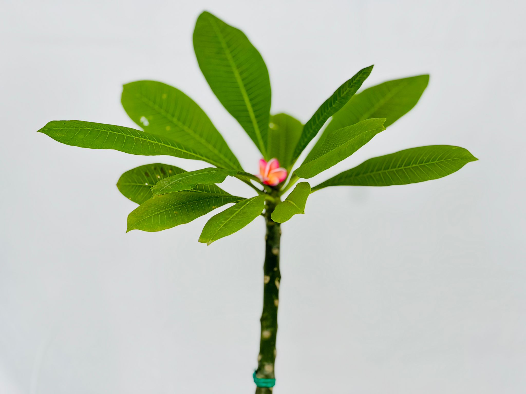 WhatsApp Image 2024-01-17 at 13.53.05