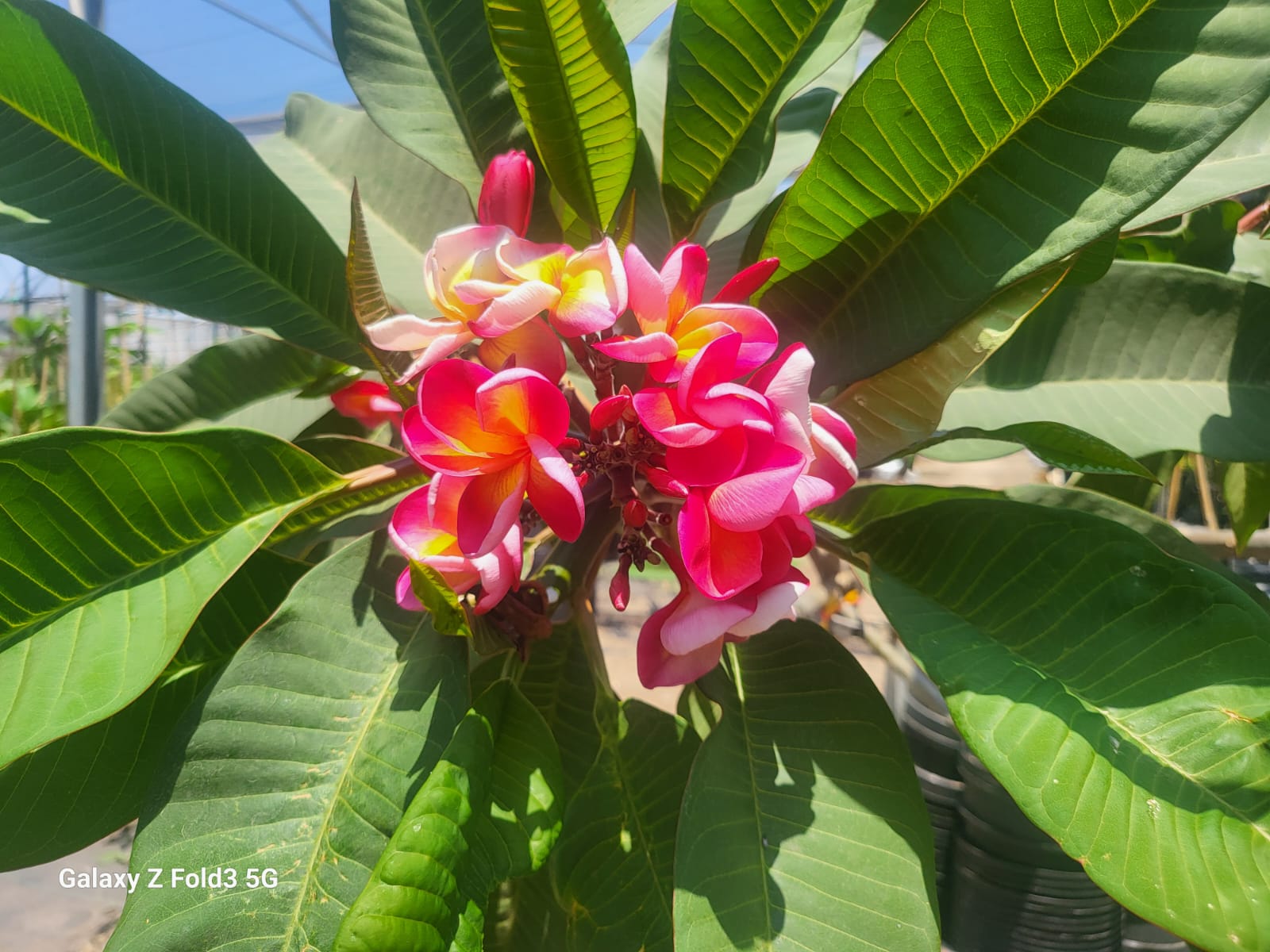 WhatsApp Image 2024-06-04 at 12.06.31