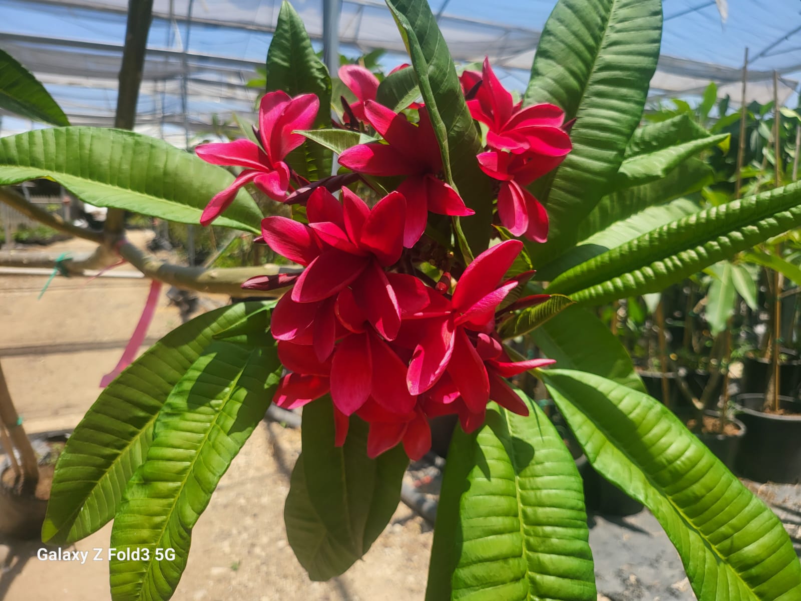 WhatsApp Image 2024-06-04 at 12.12.43