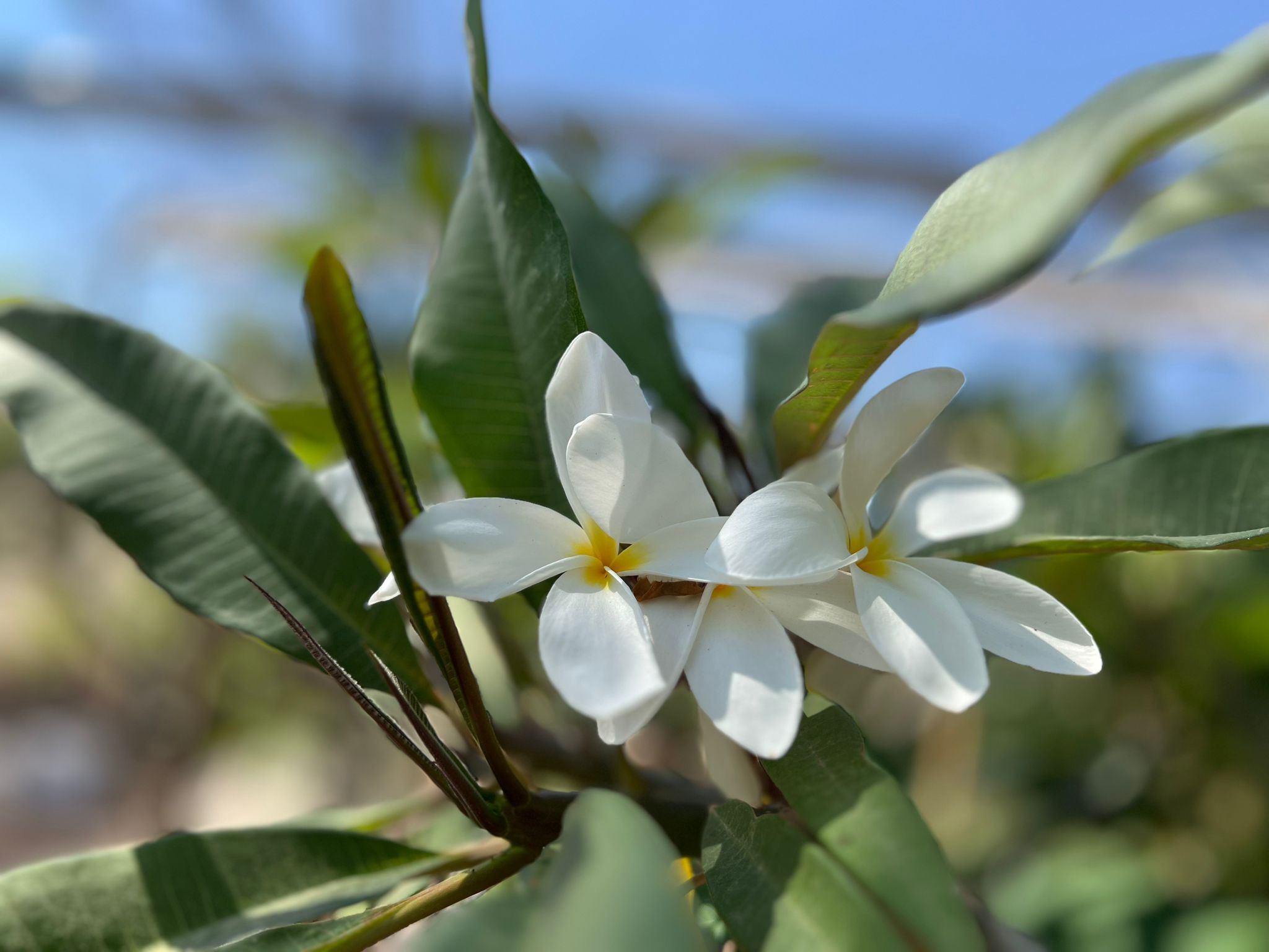 WhatsApp Image 2024-06-05 at 11.46.46 (2)