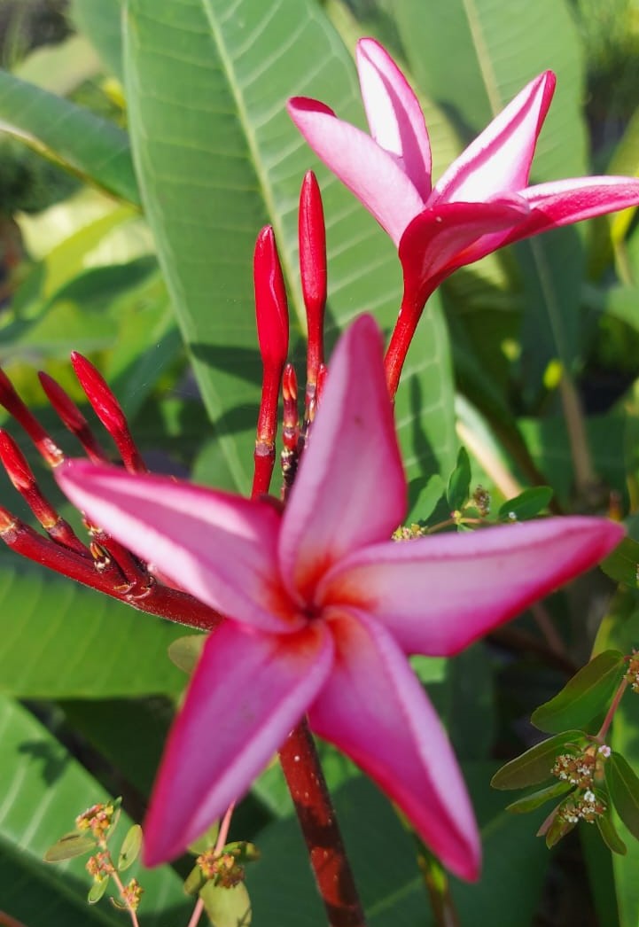 WhatsApp Image 2024-06-05 at 11.53.31