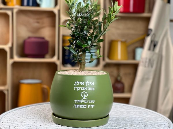 אילן אילן במה אברכך?