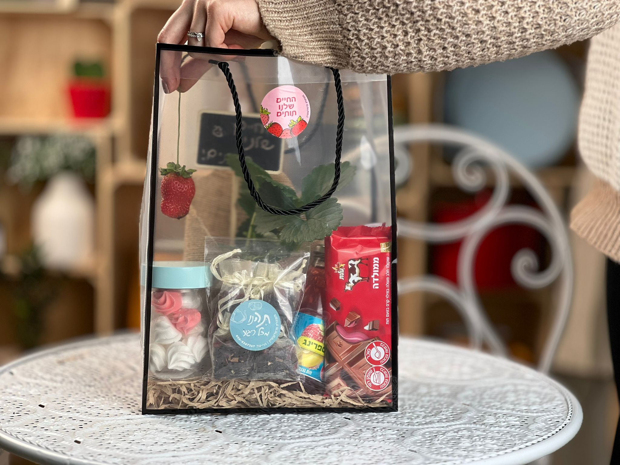 החיים שלנו שקית שקופה הכל