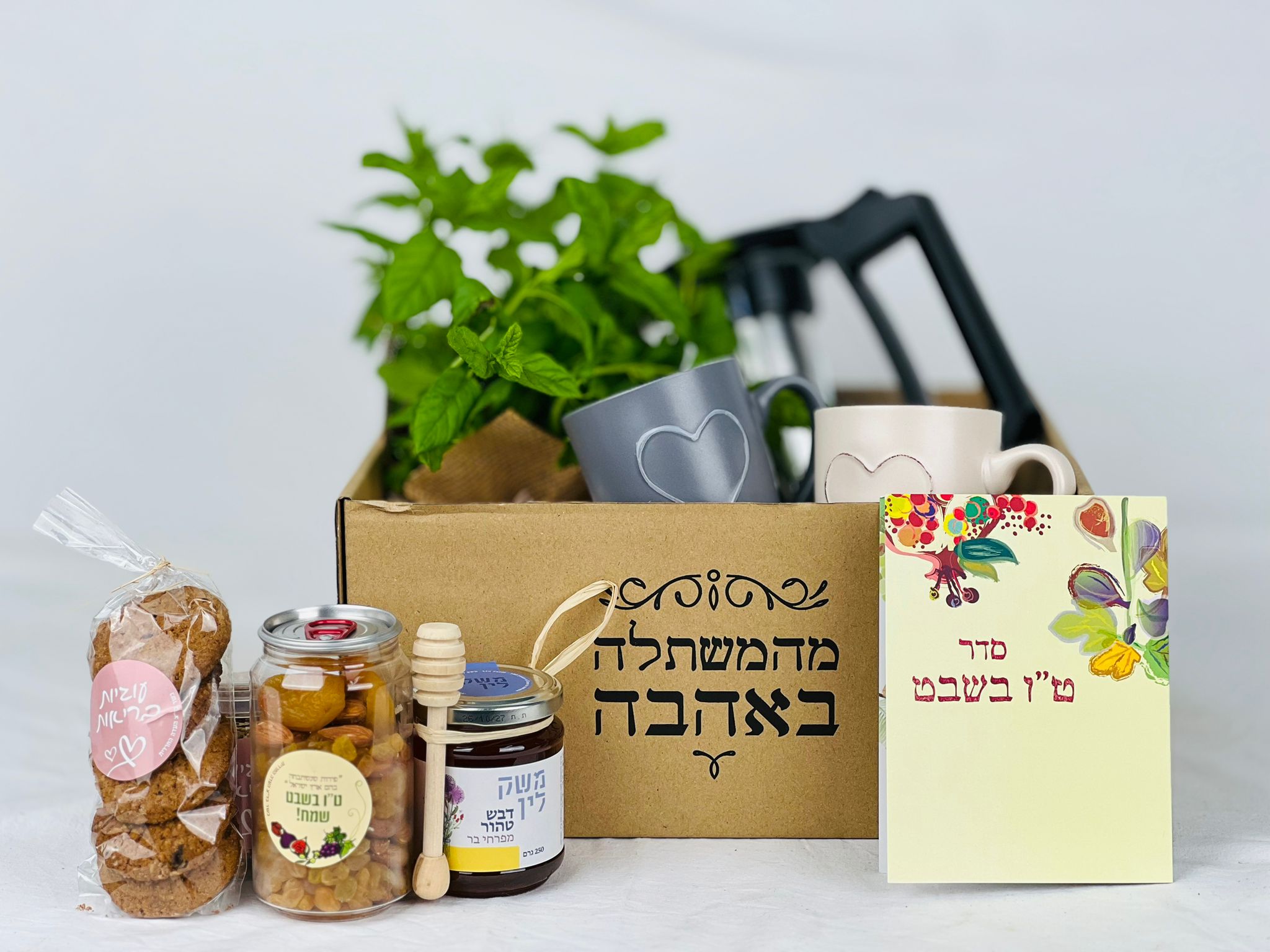 ארגז טו בשבט