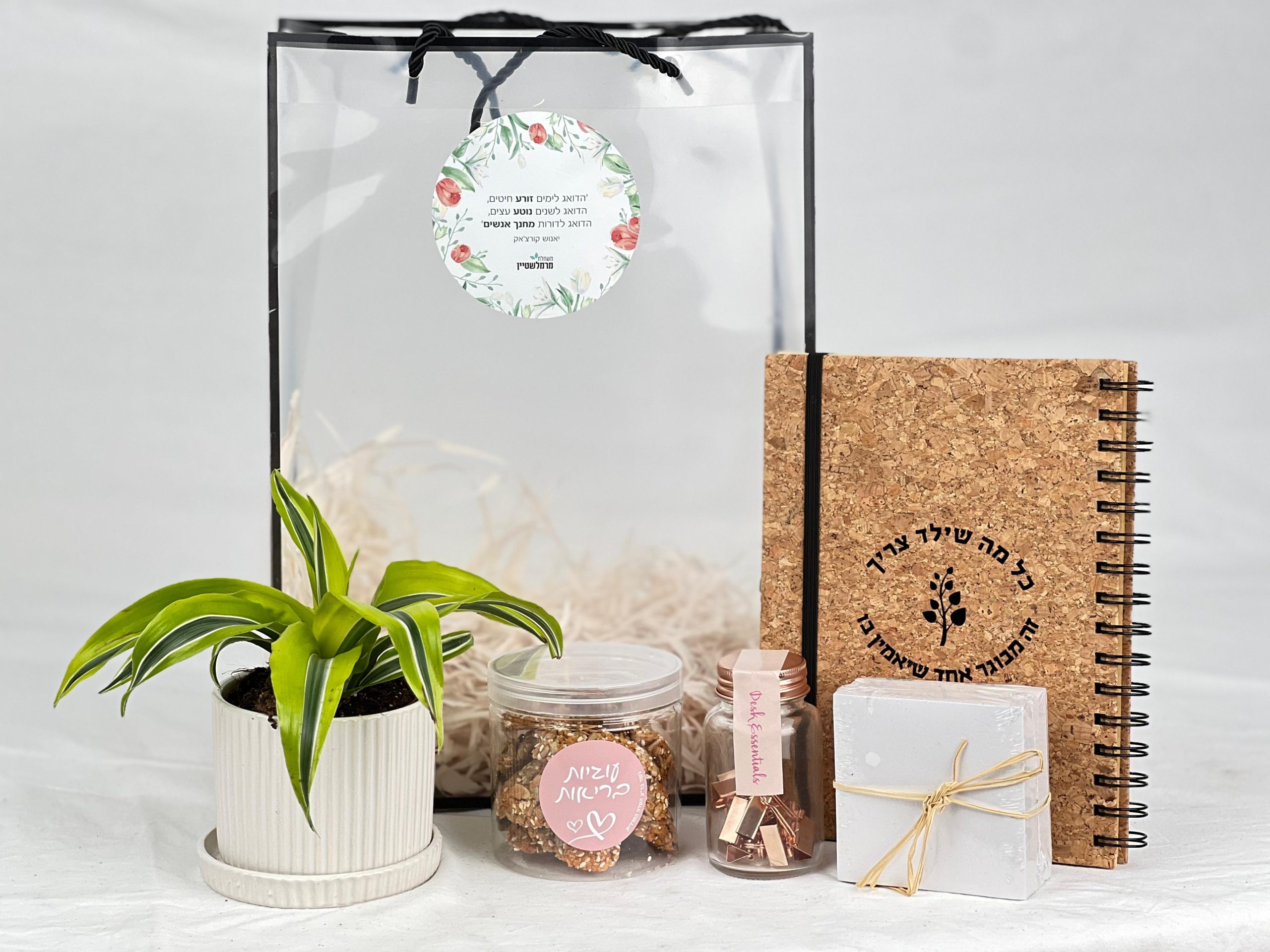 מארז בשנה הבאה