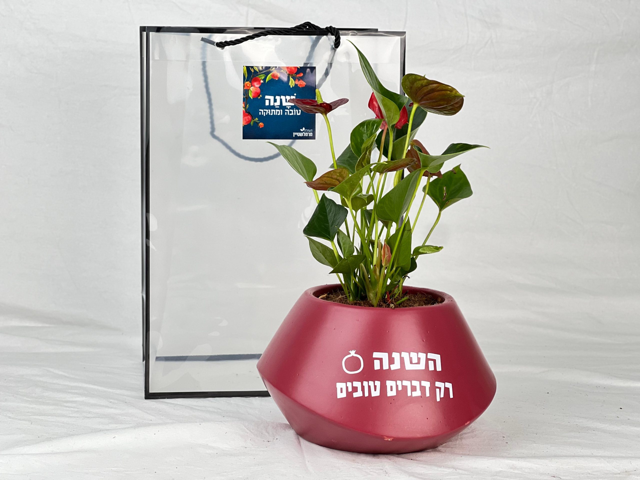 מזכרת רק דברים טובים