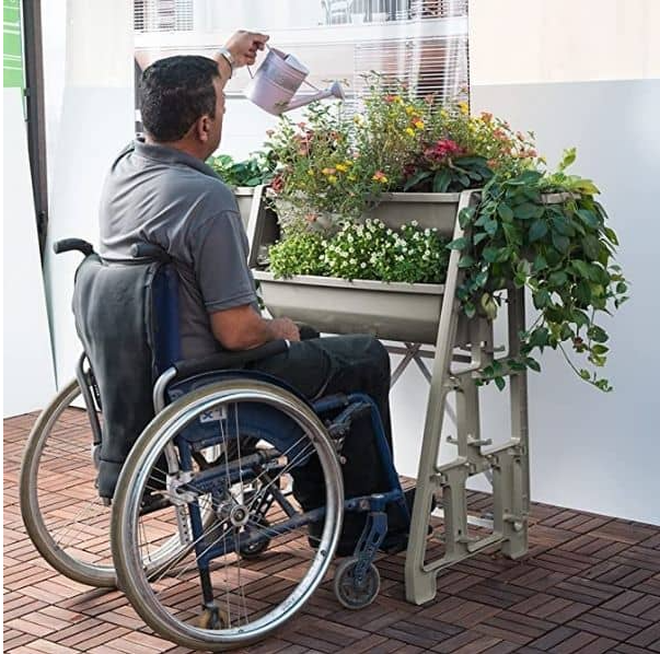 צילום מסך 2024-05-20 113309