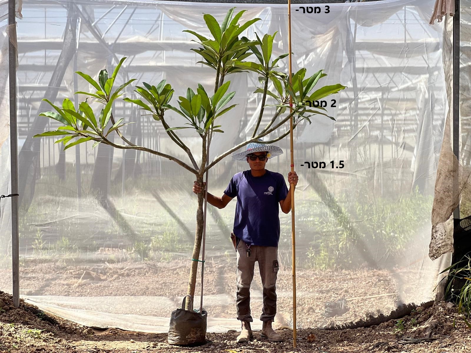 3 מטר מיוחד מפוצל 1300 שח