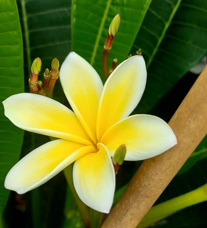 WhatsApp Image 2024-06-05 at 11.53.26