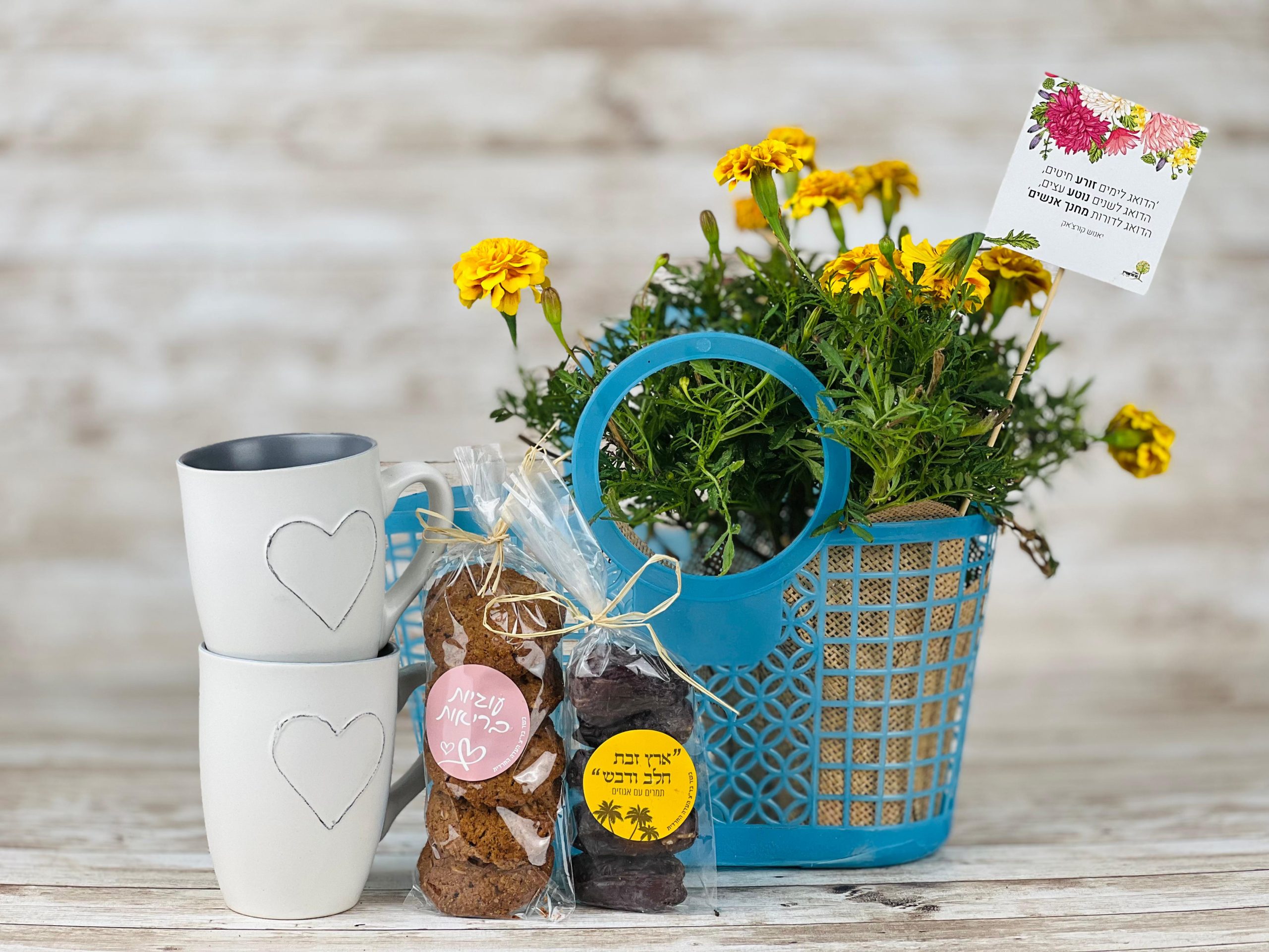 מתנות לצות החינוכי מתנות סוף שנה סופשנה