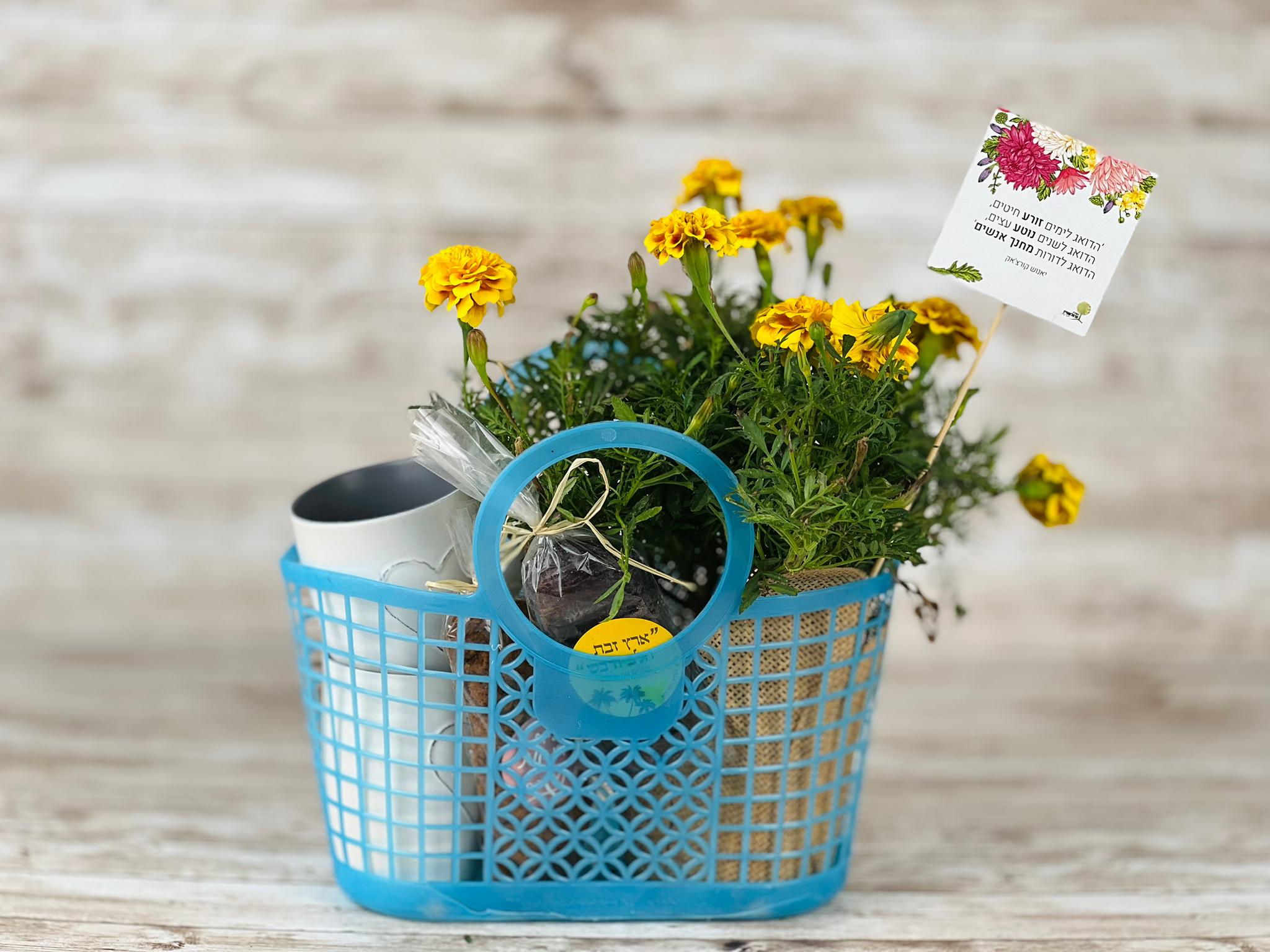 WhatsApp Image 2024-06-24 at 11.47.45