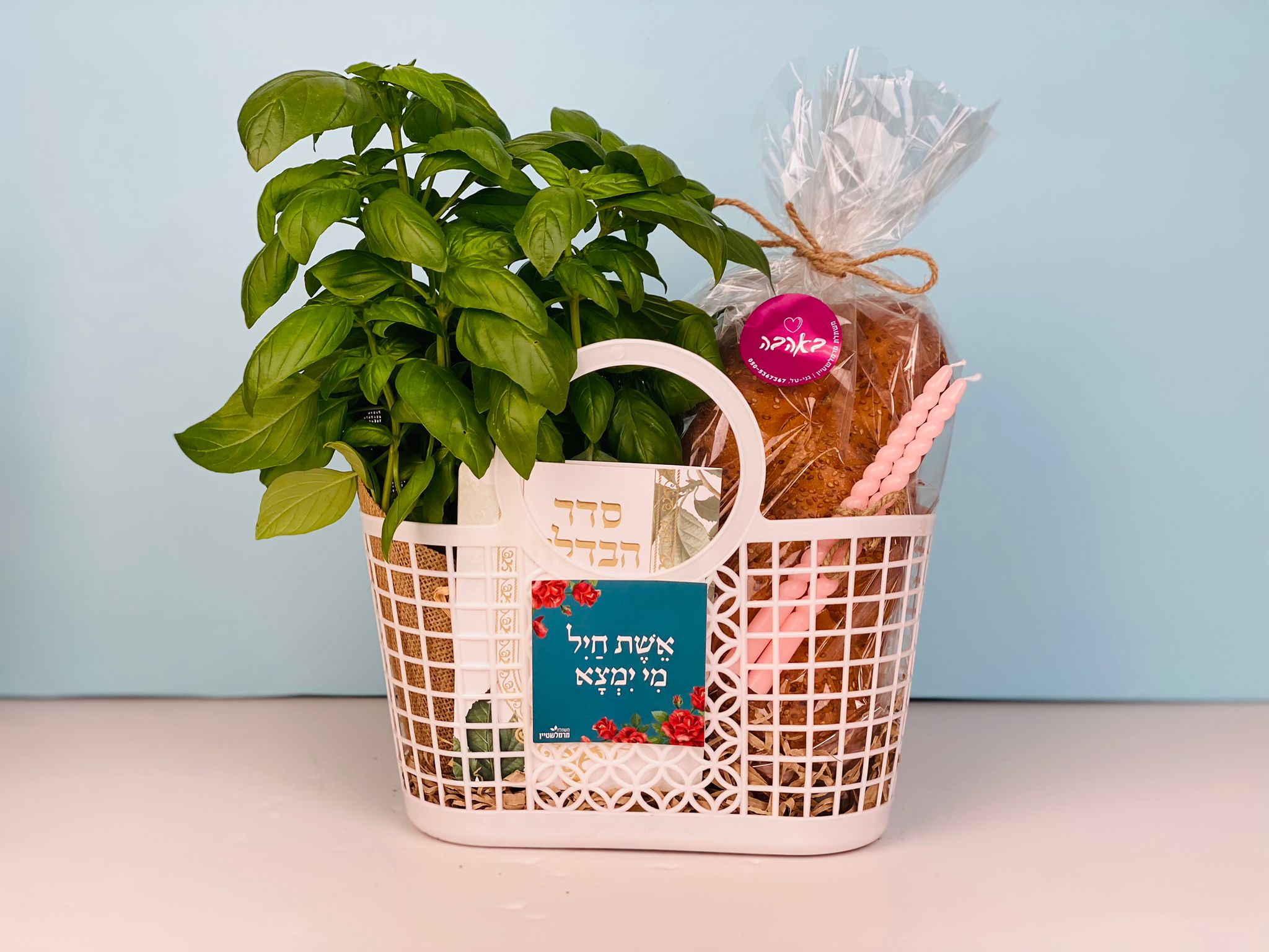 WhatsApp Image 2024-08-22 at 13.45.39